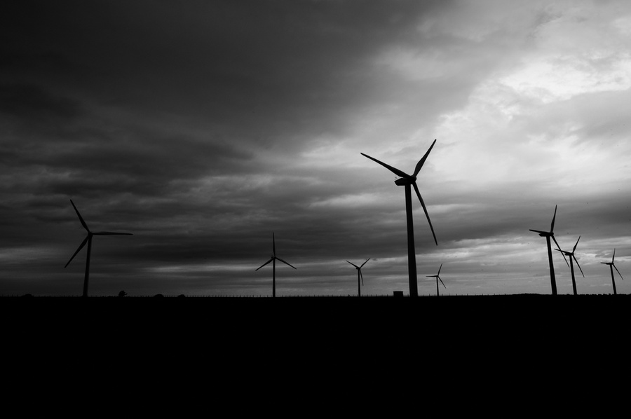 sentinels