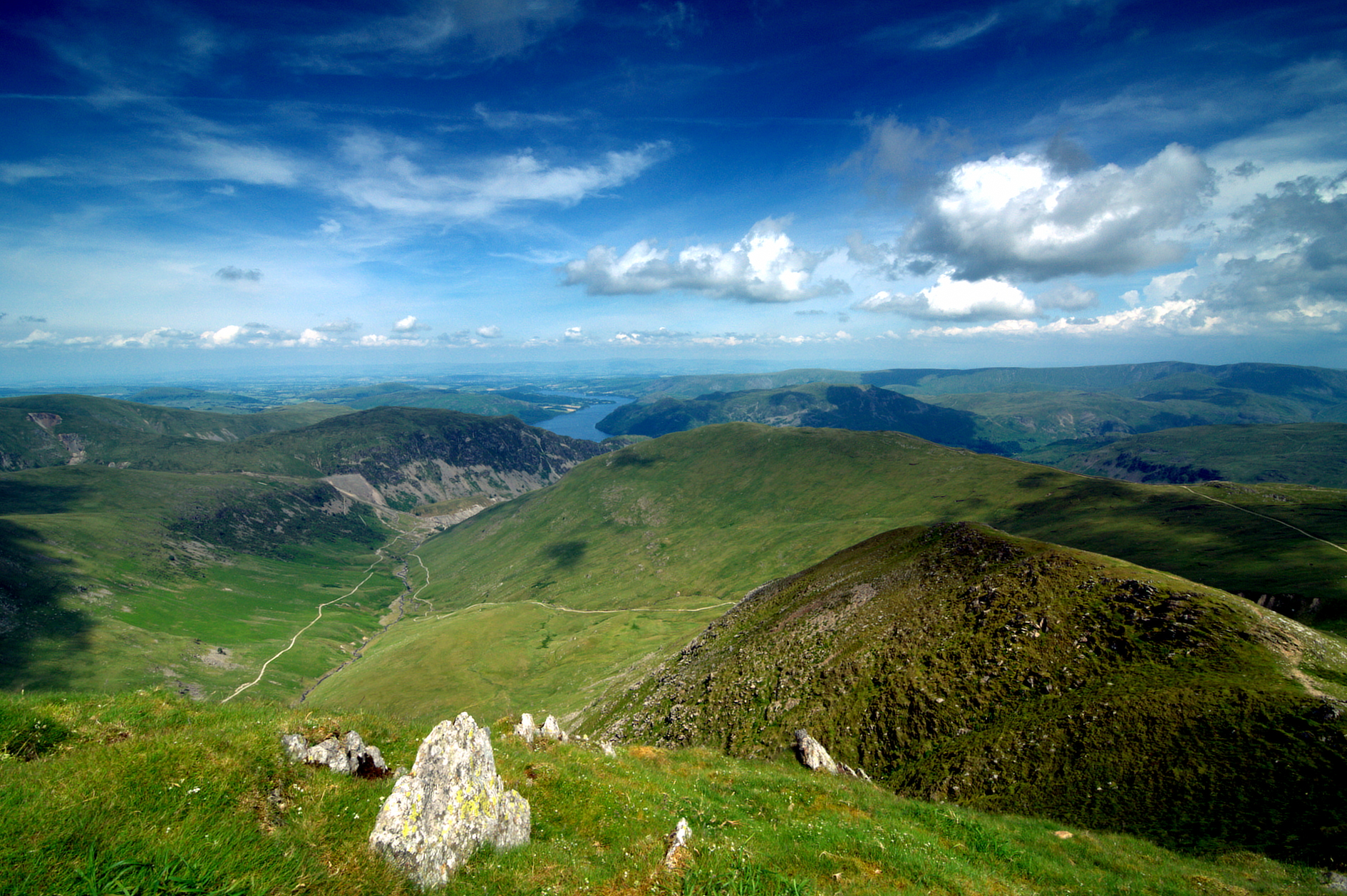 Catstycam