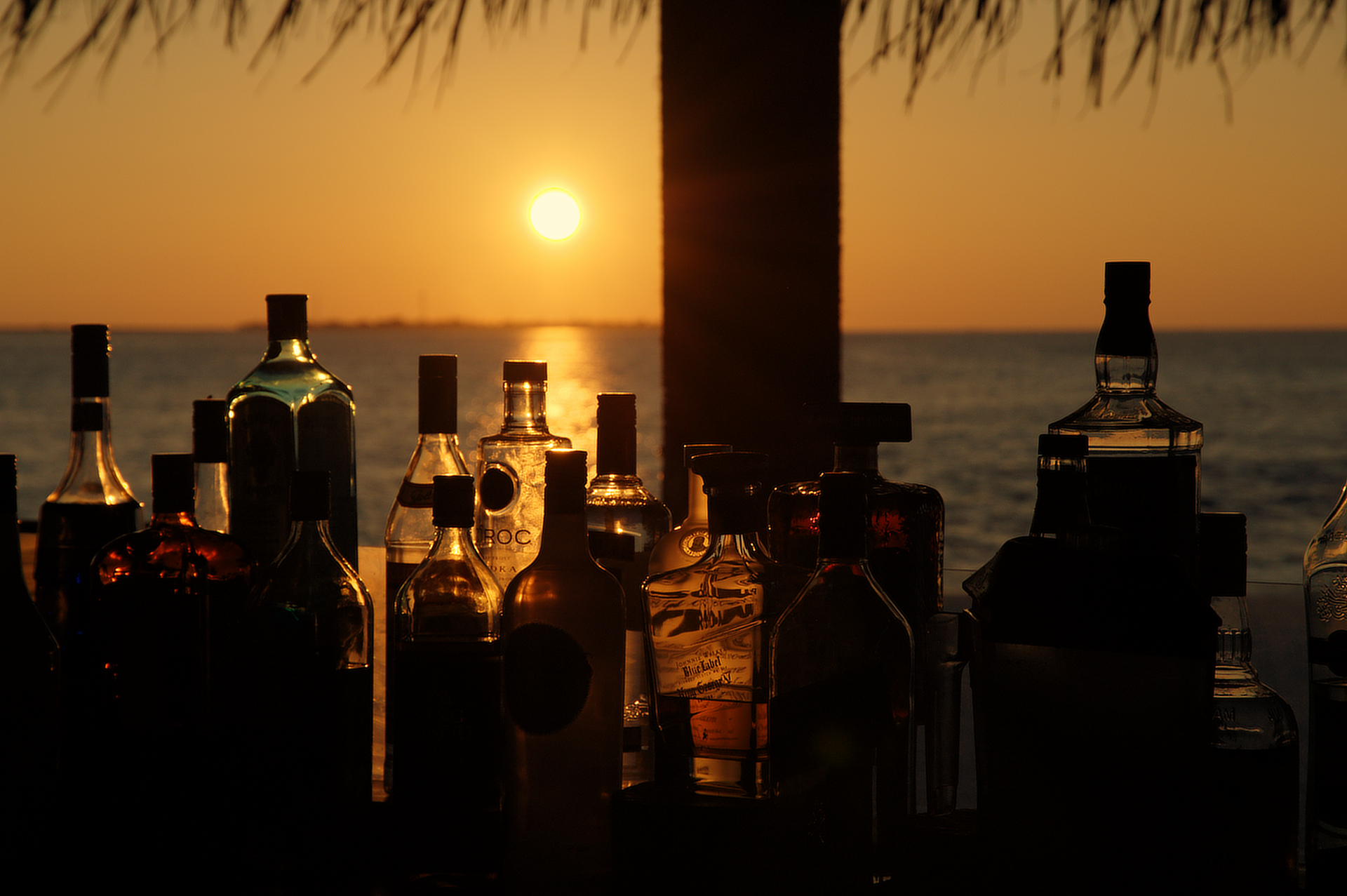 beach bar
