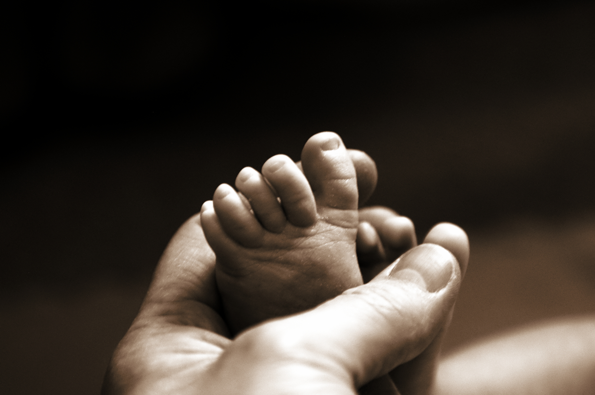 fingers and toes