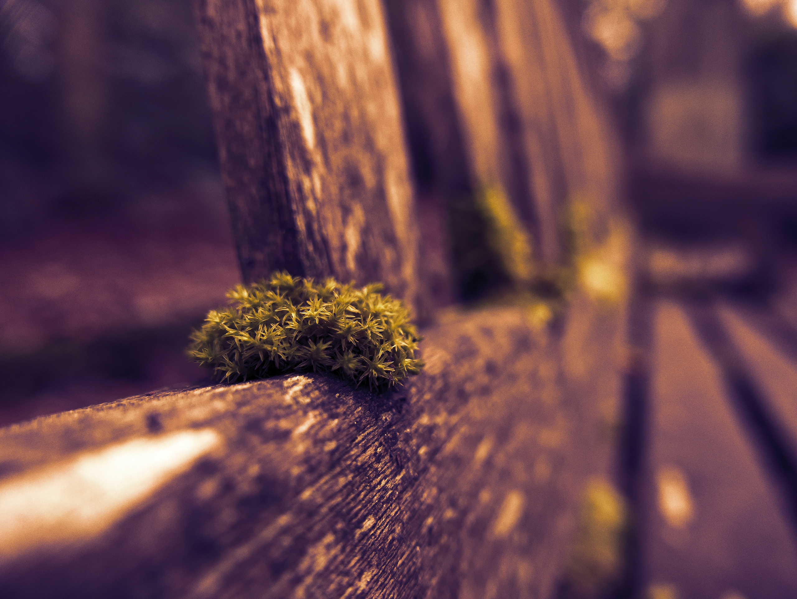 bench clusters