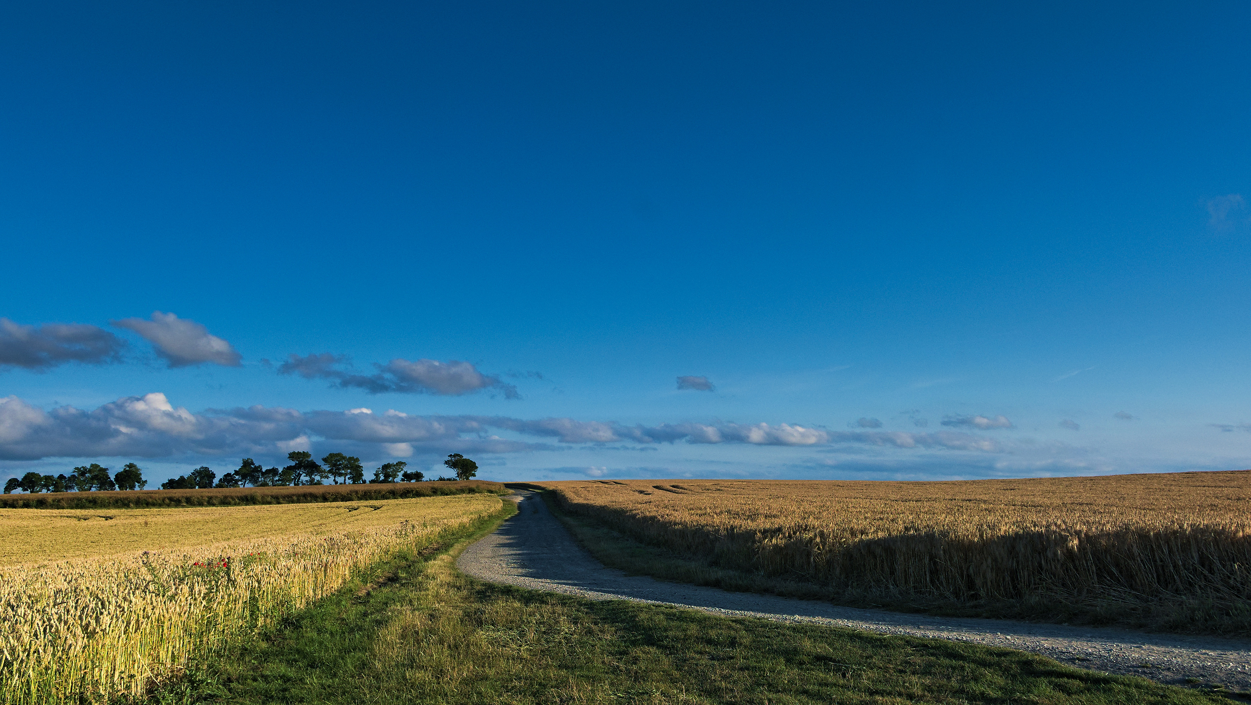 between fields