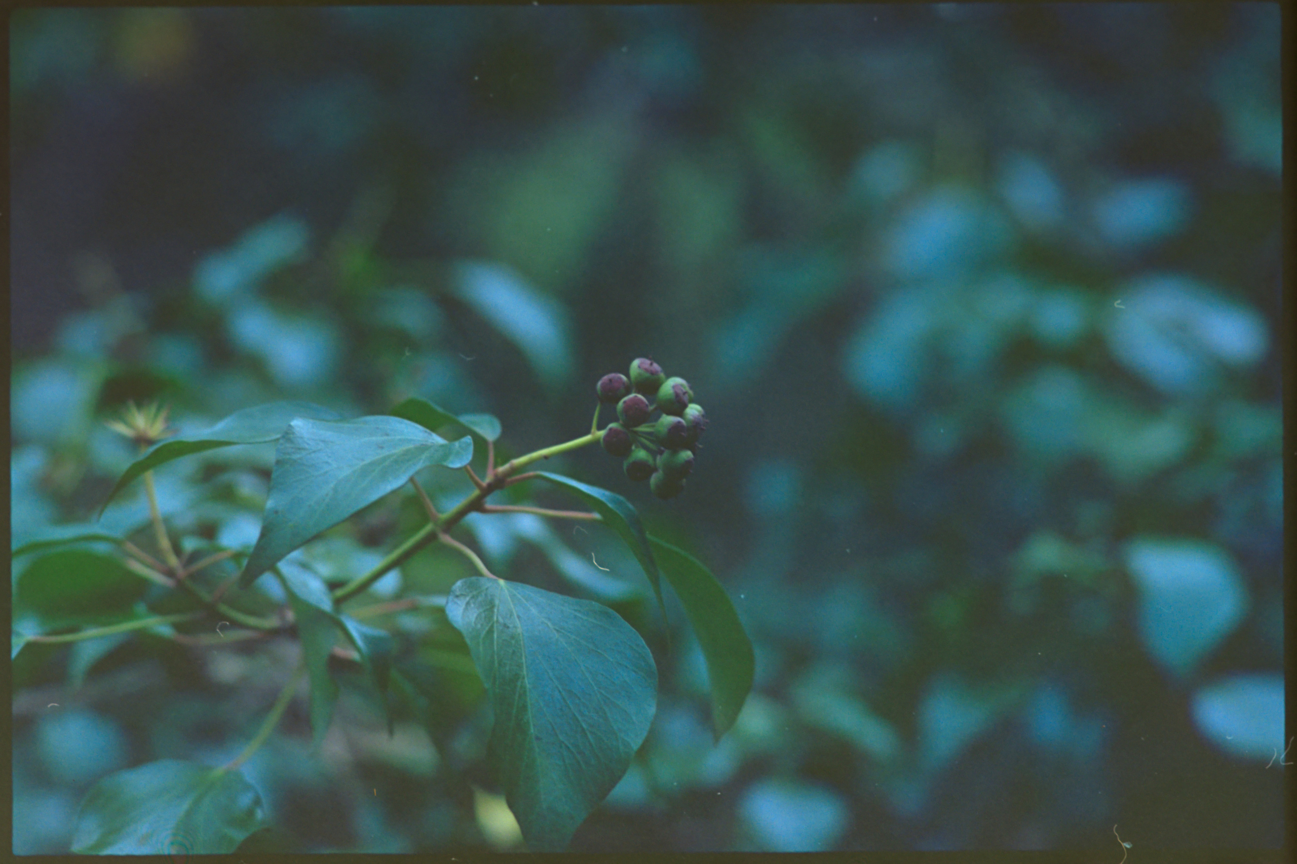 low light
