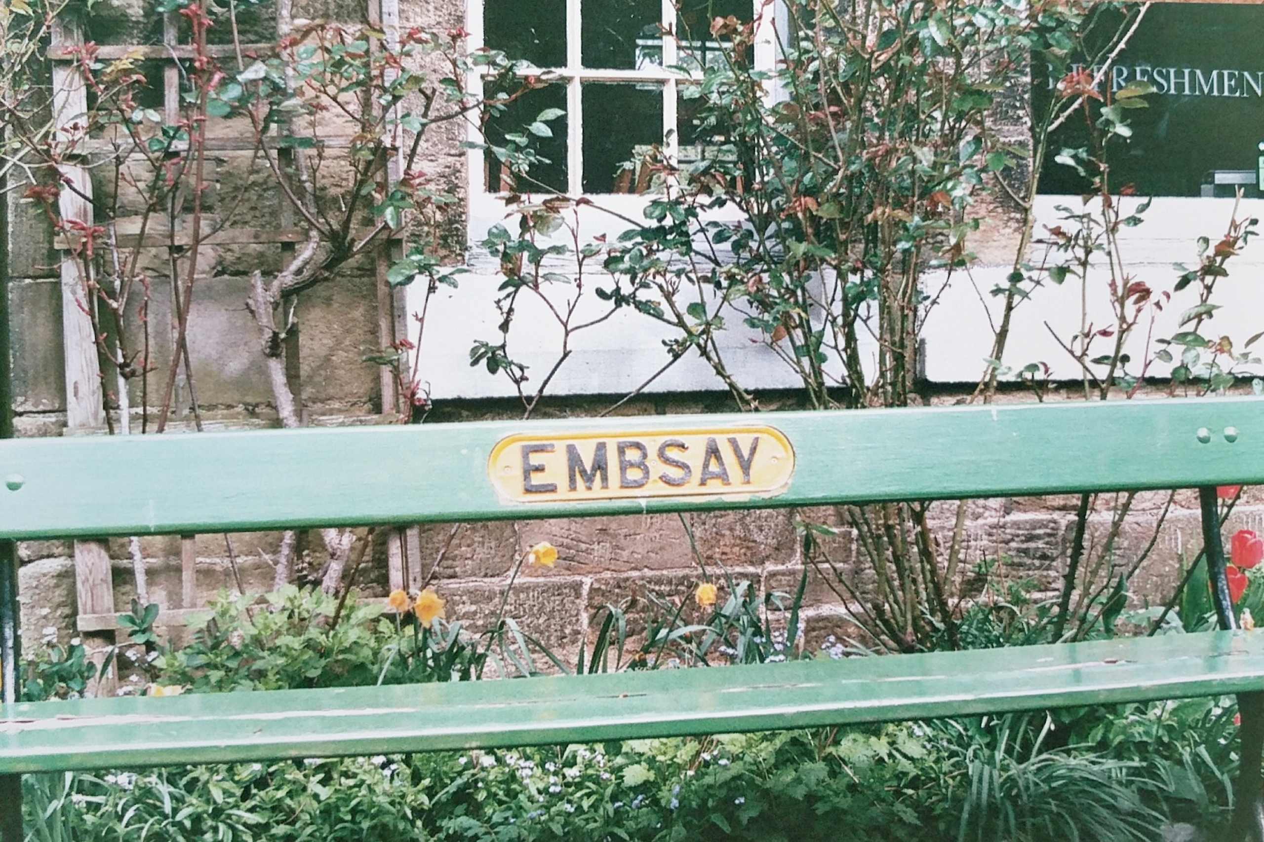 bench