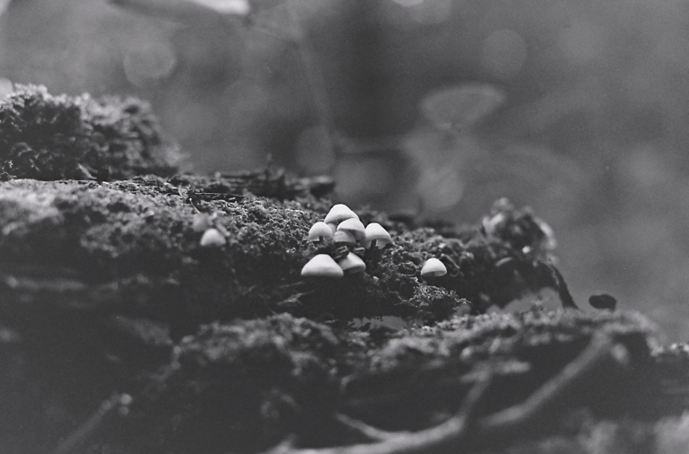 little ones
