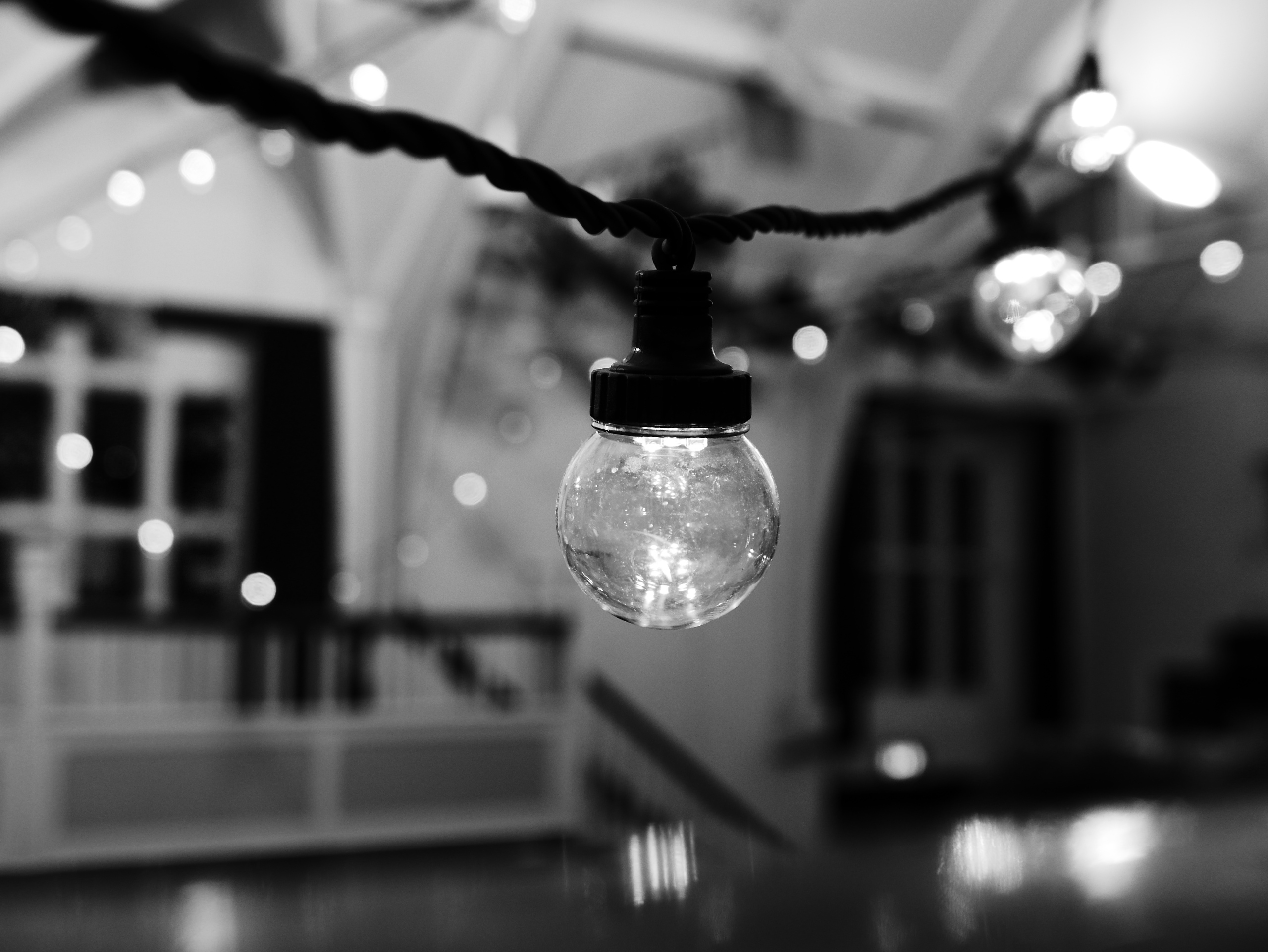 attracted to the bulbs