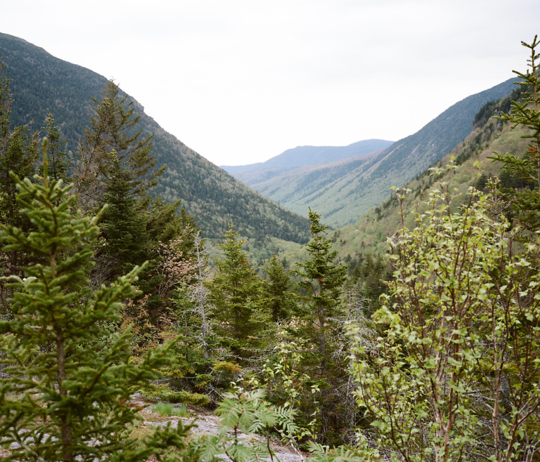 Crawford Notch