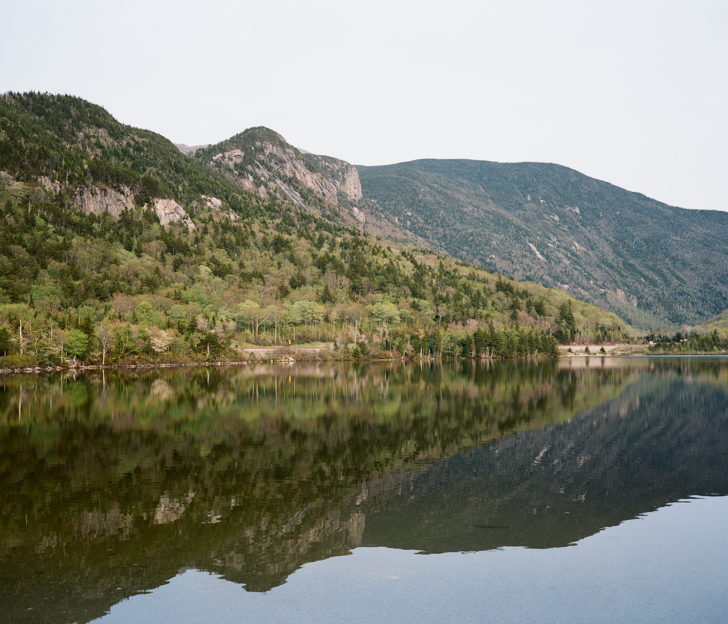 reflective #1