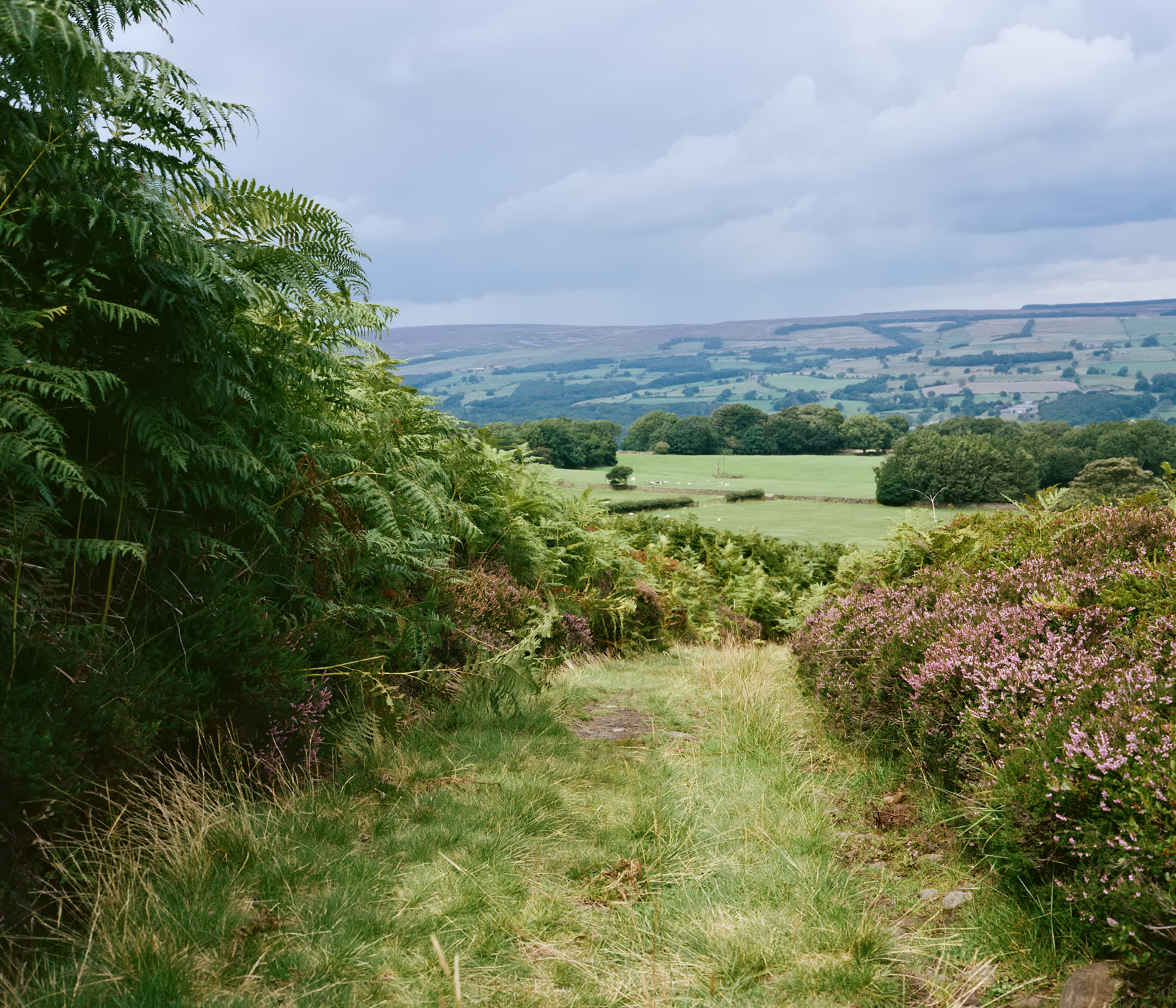 back to the hills