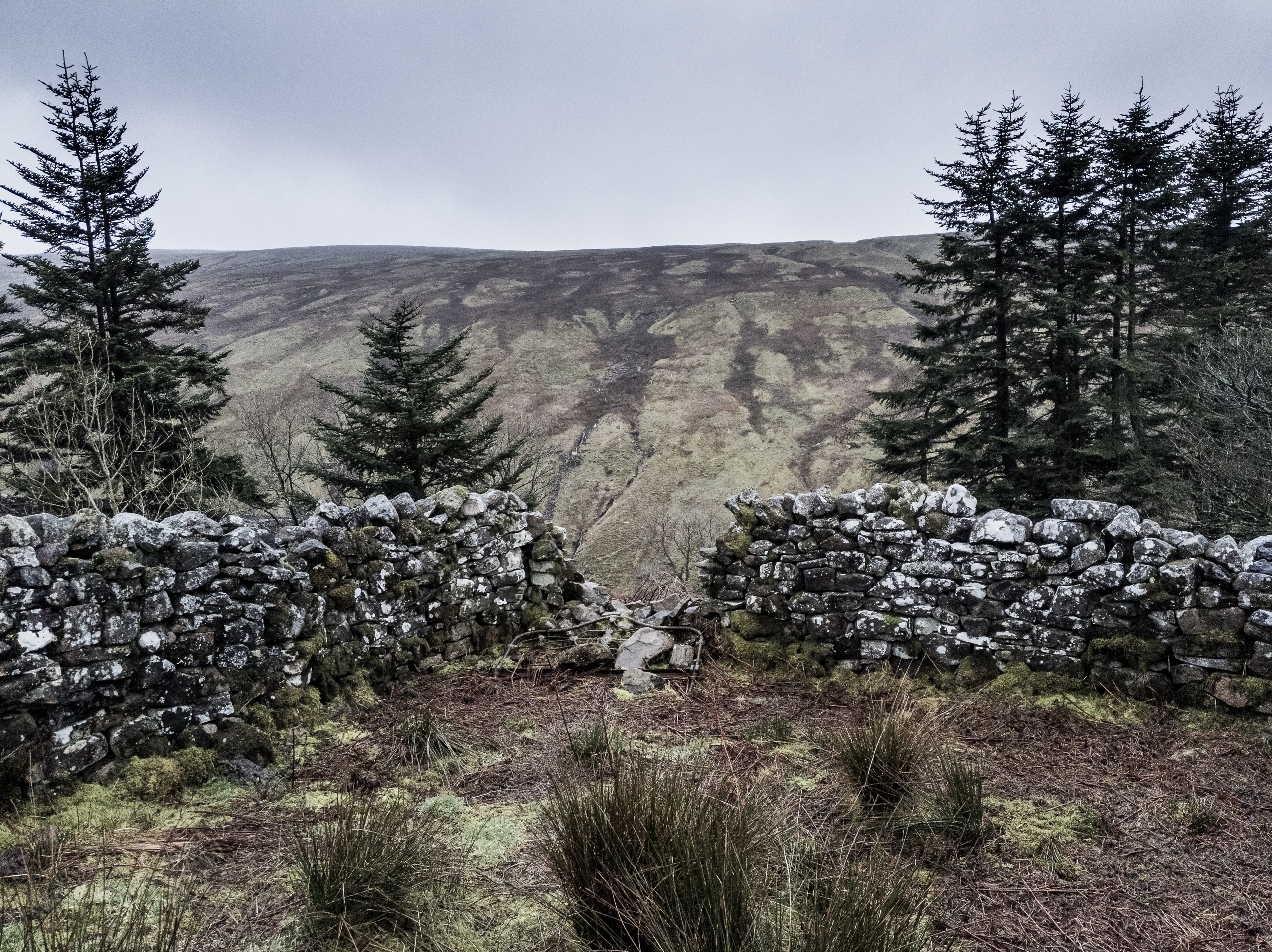 old resting place
