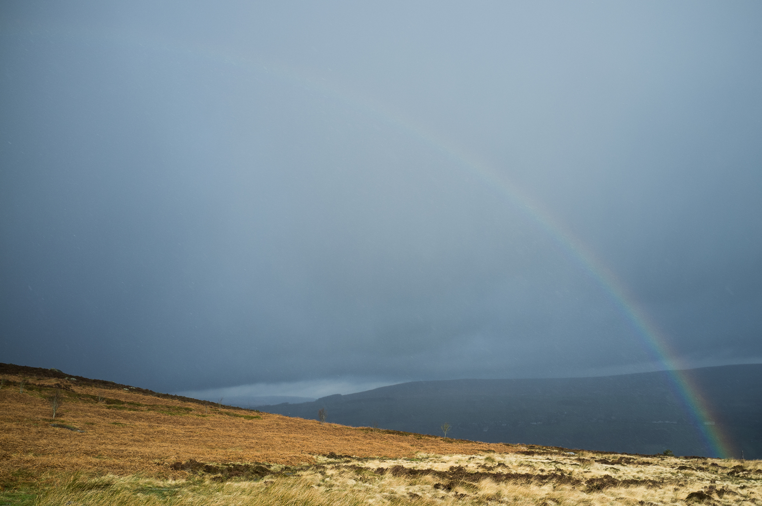 on the edge of the rain