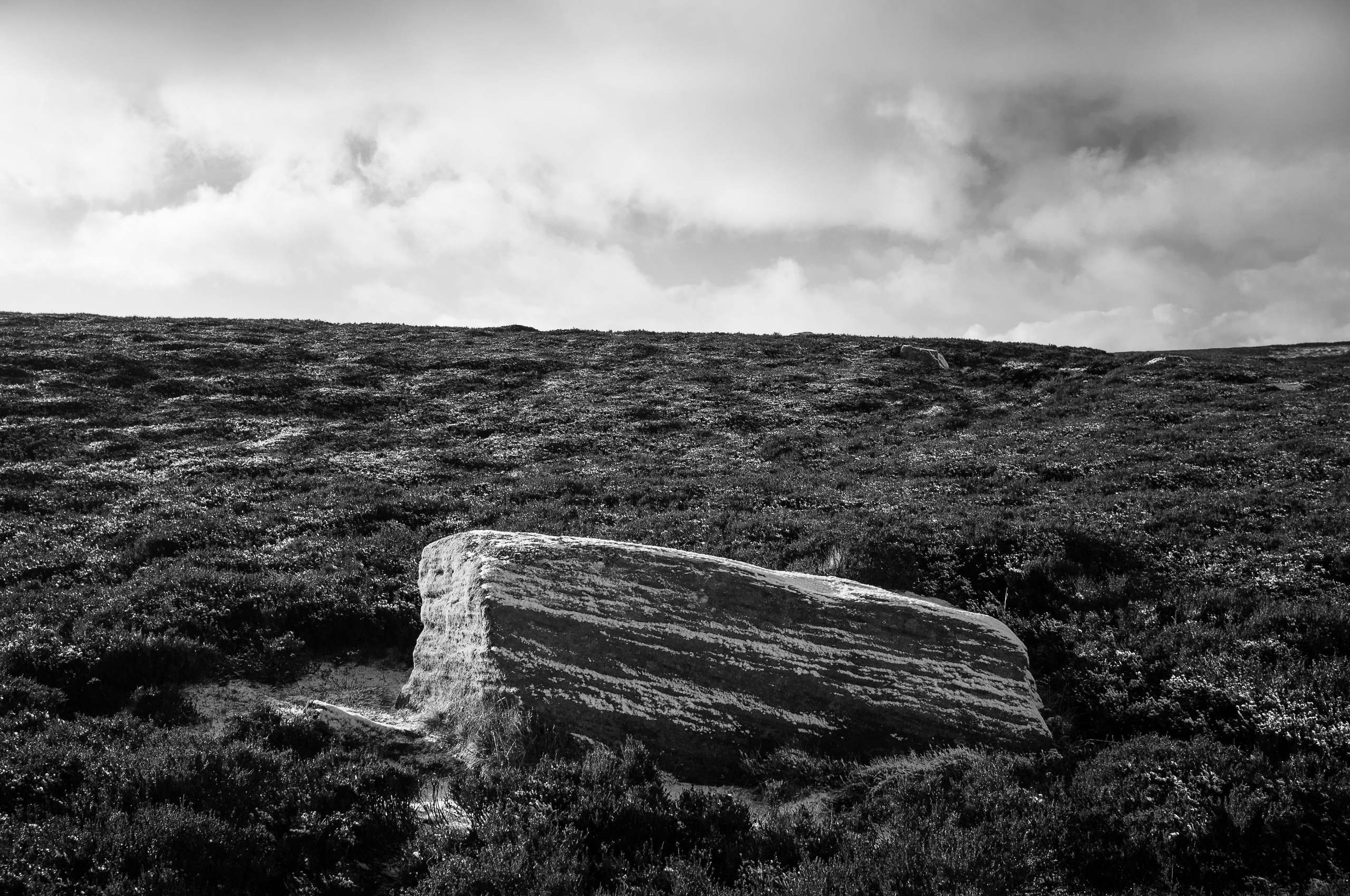 solitude