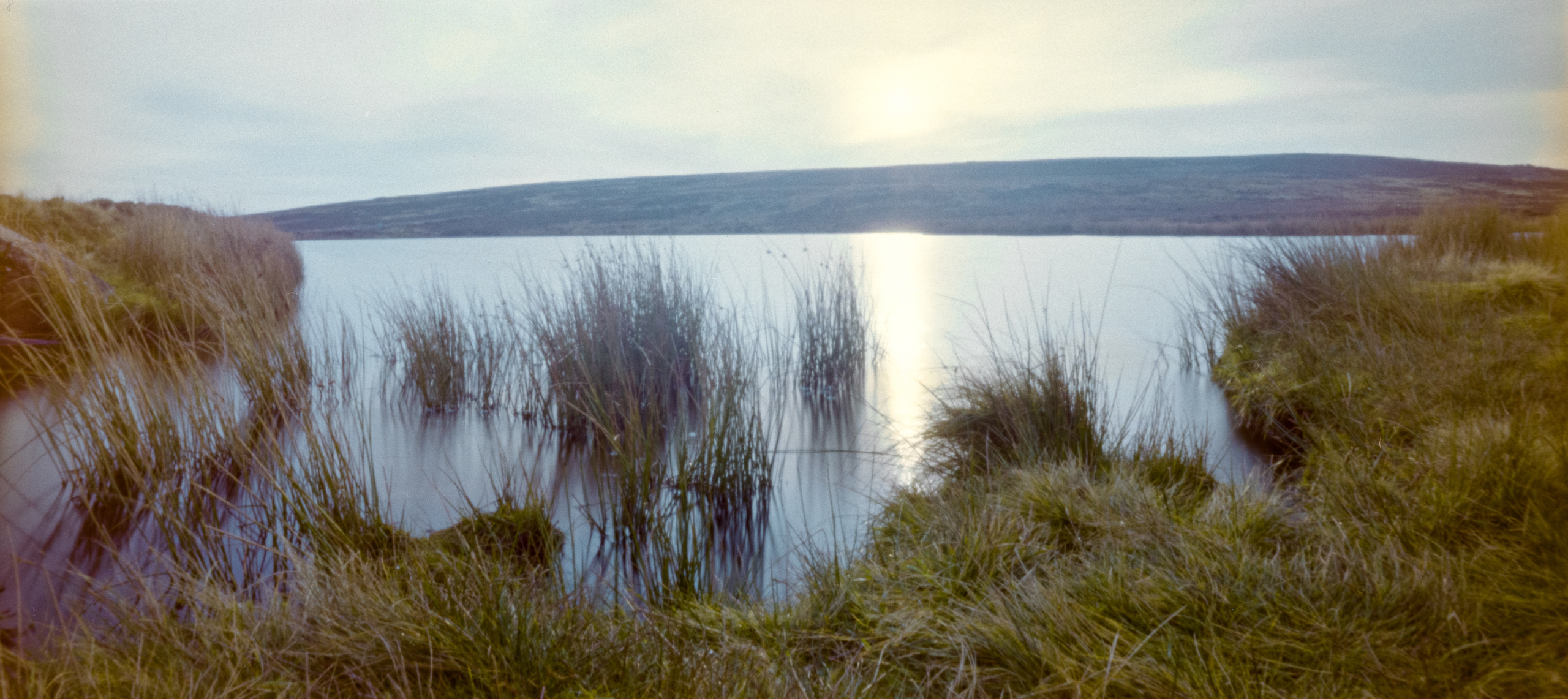 alone with the pinhole