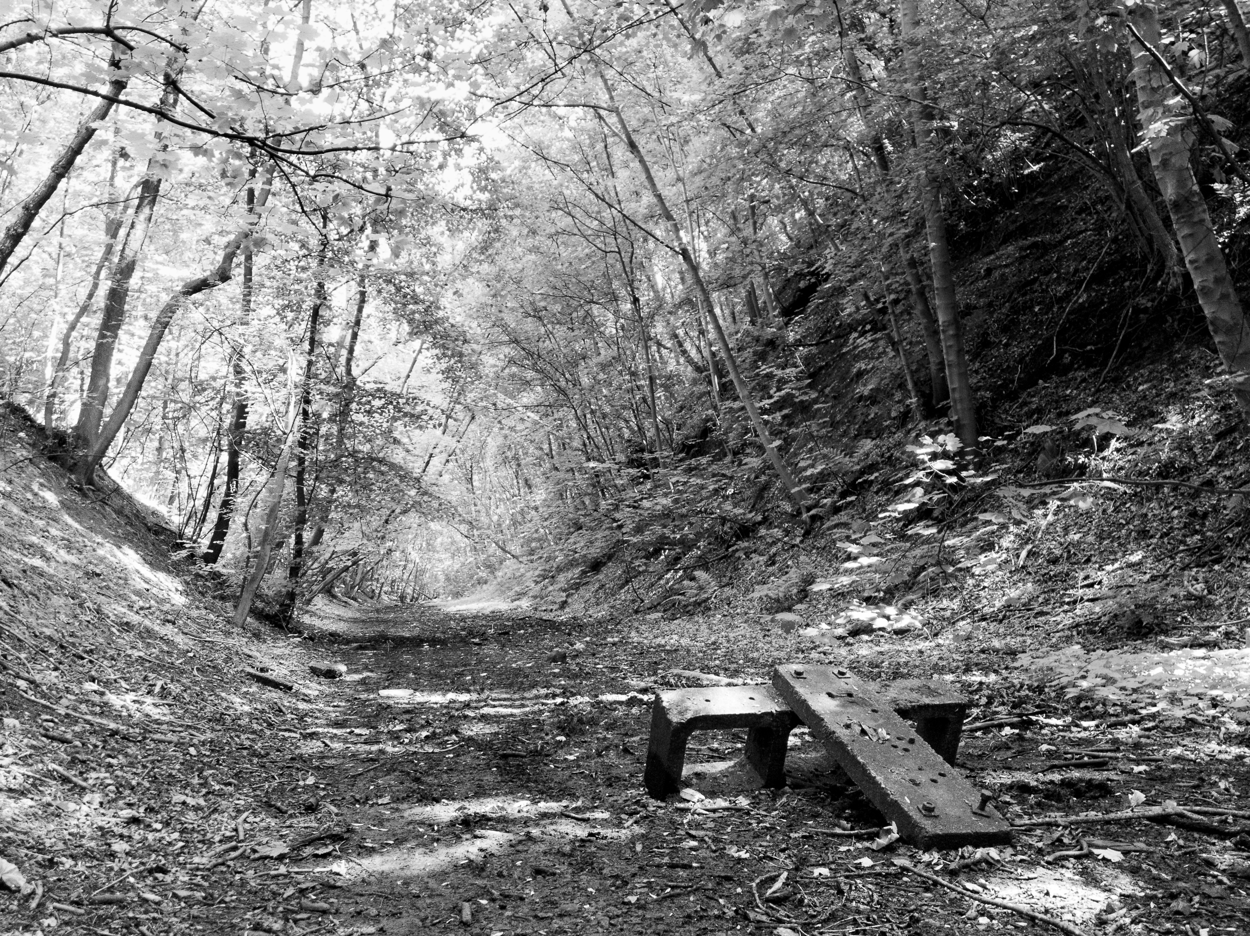 old railway wandering #3