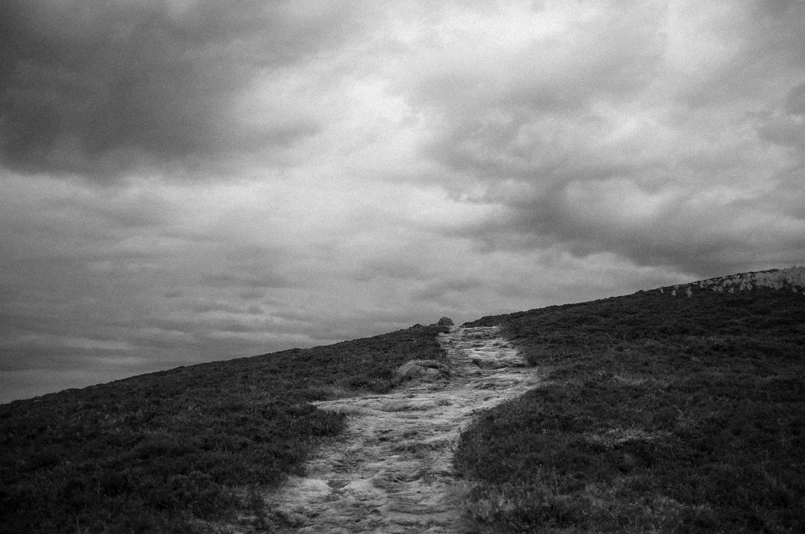 the path less travelled