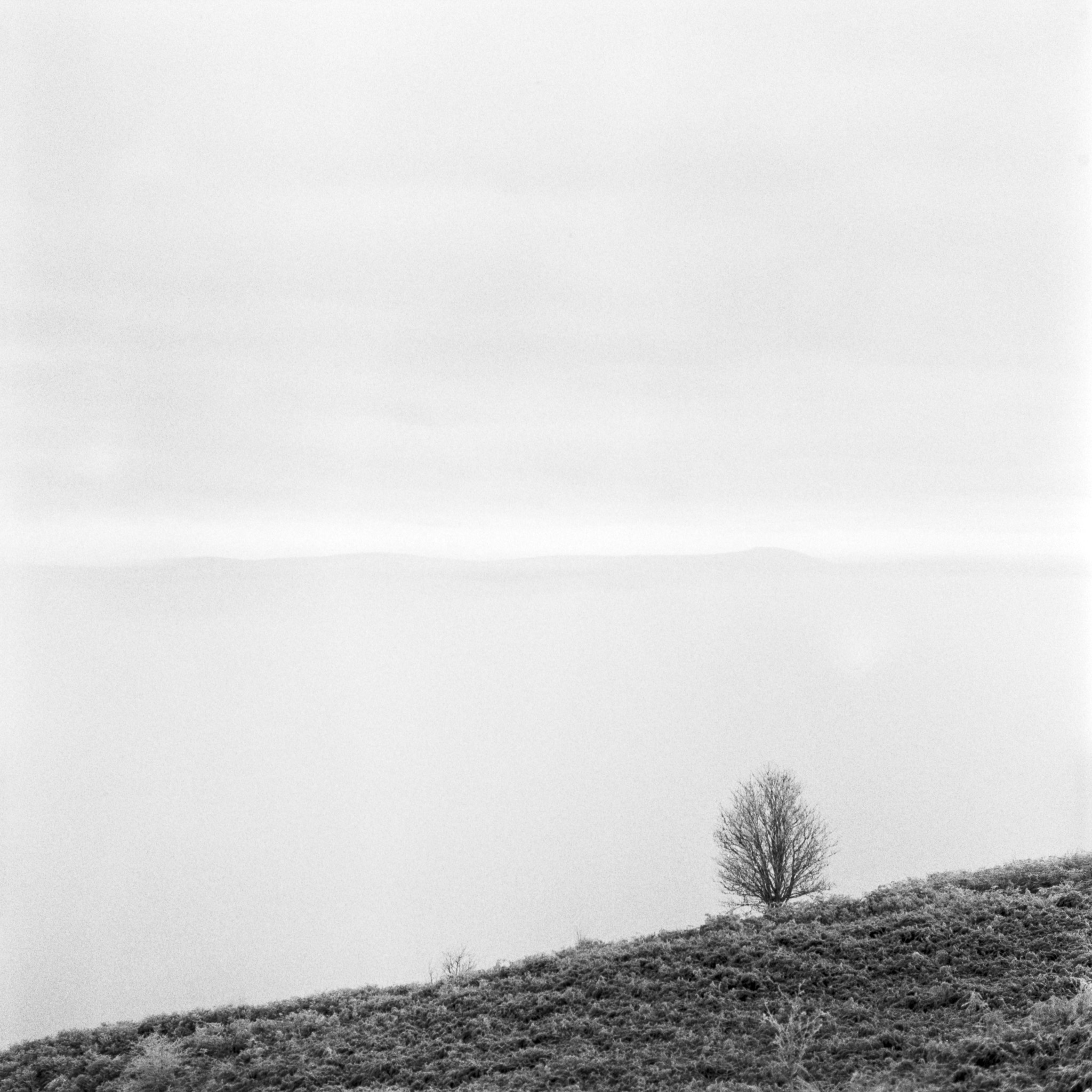 inversion