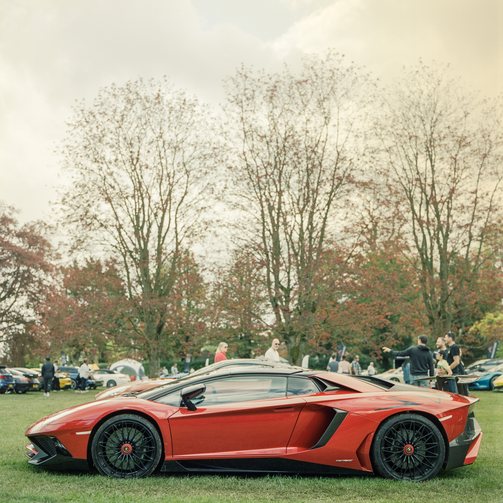 speed beast
