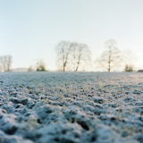 ground level
